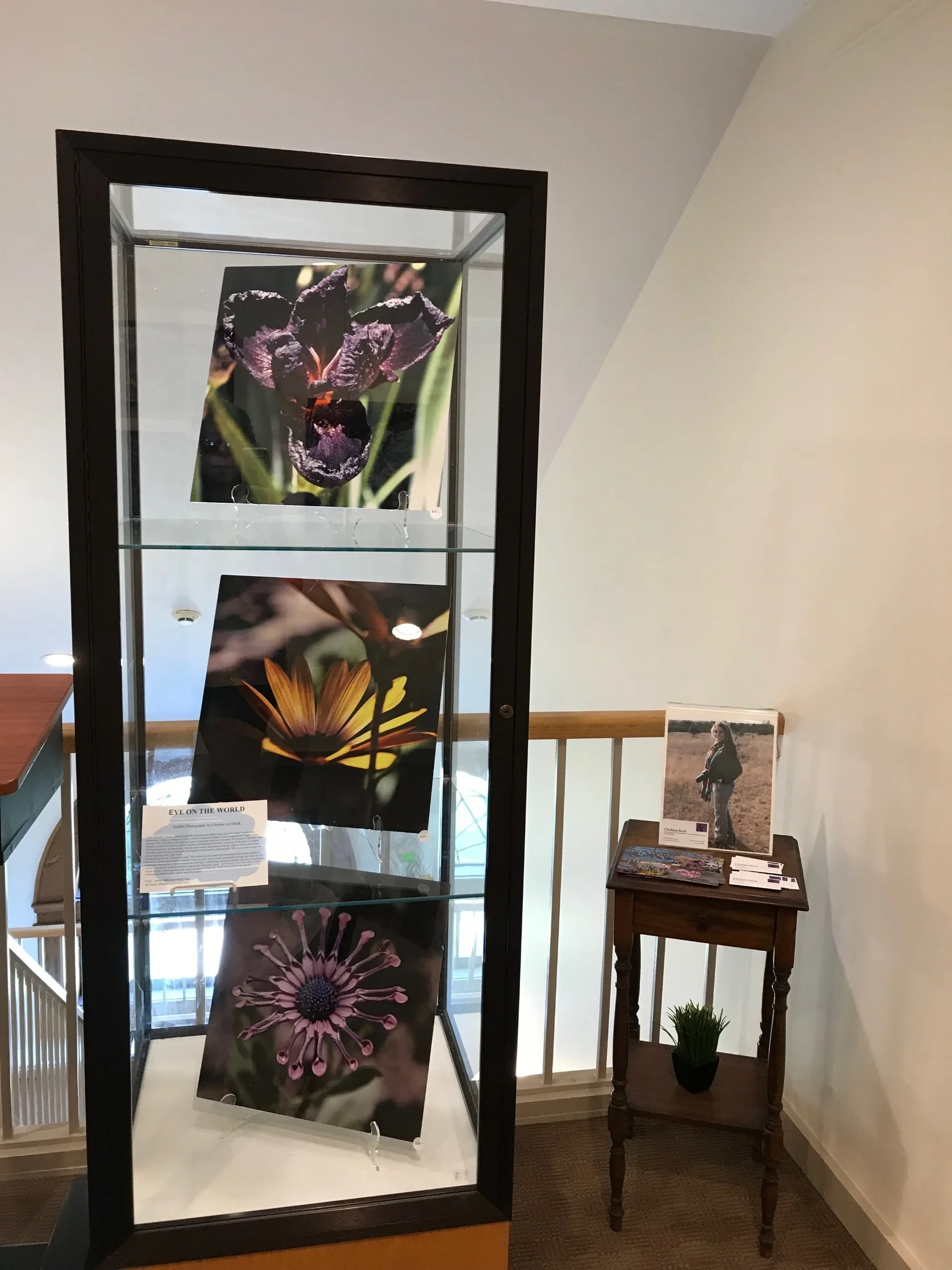 IMG_0524.jpeg
