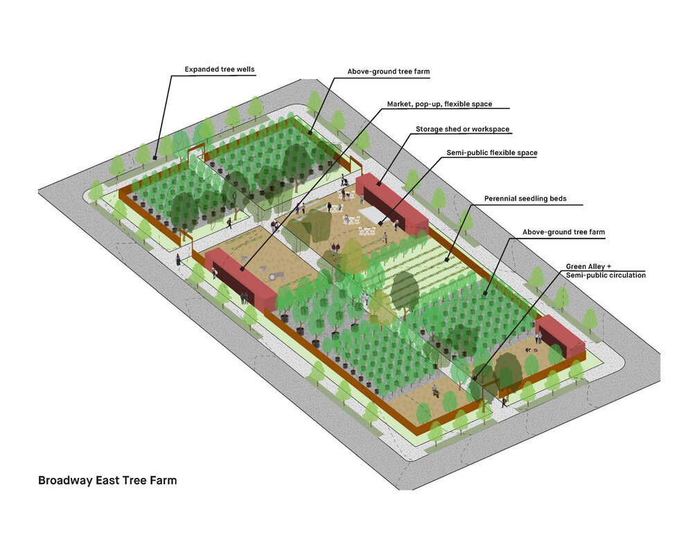 09_Tree Farm axon.jpg