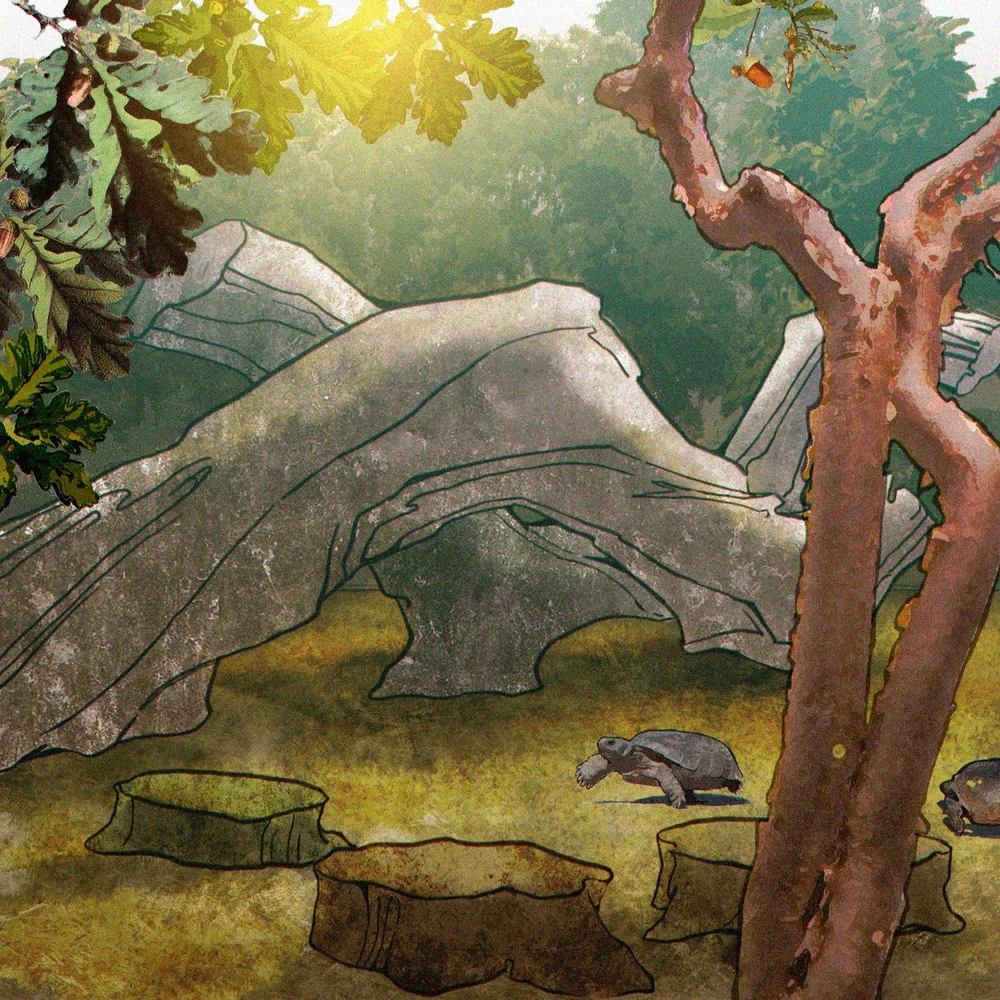 37_NBG_unknown studio.jpg