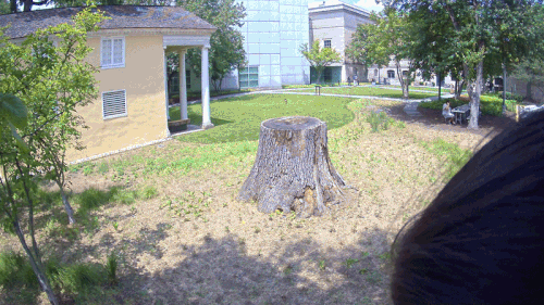 The Garden of the Muses