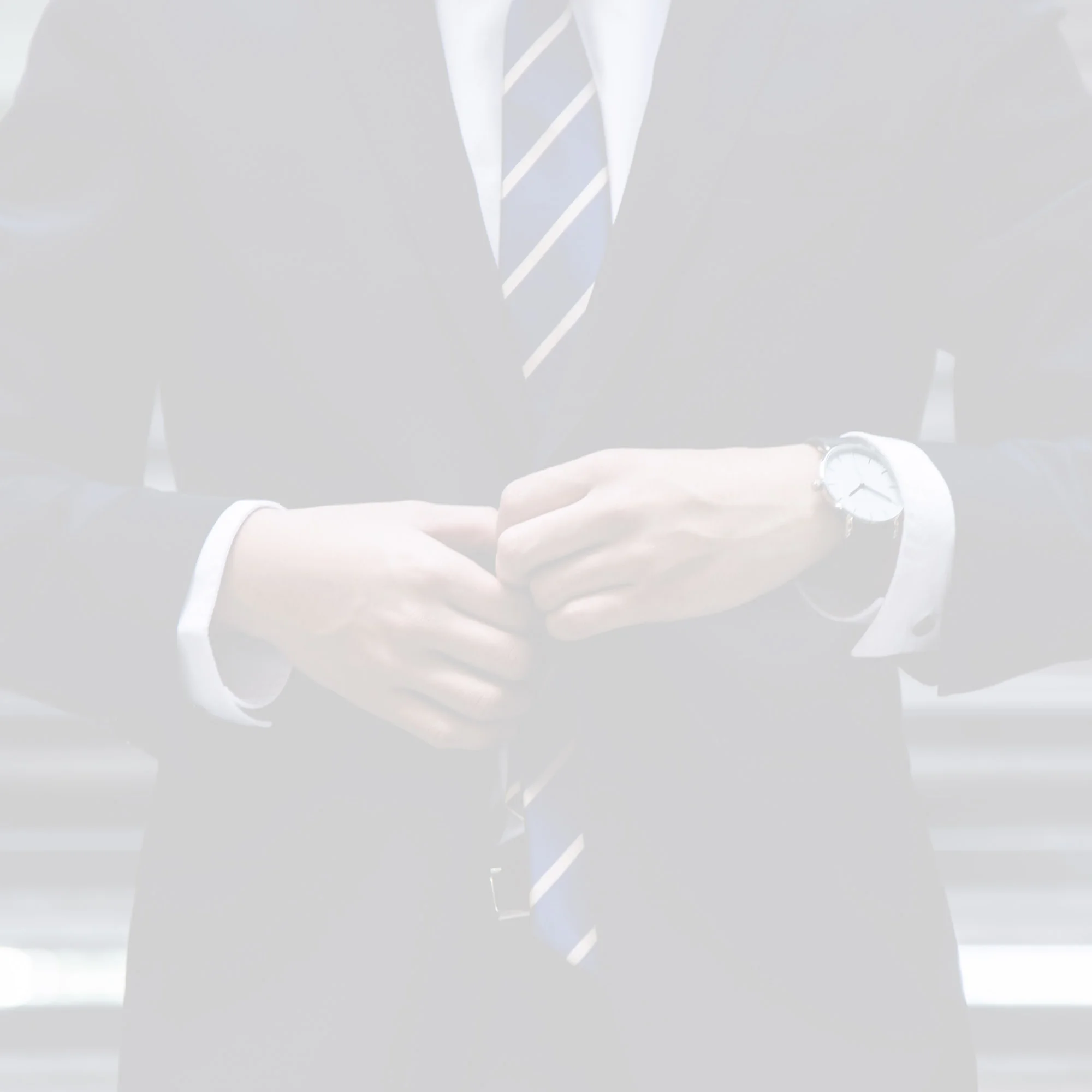 Litigation Risk, Strategy and Costs