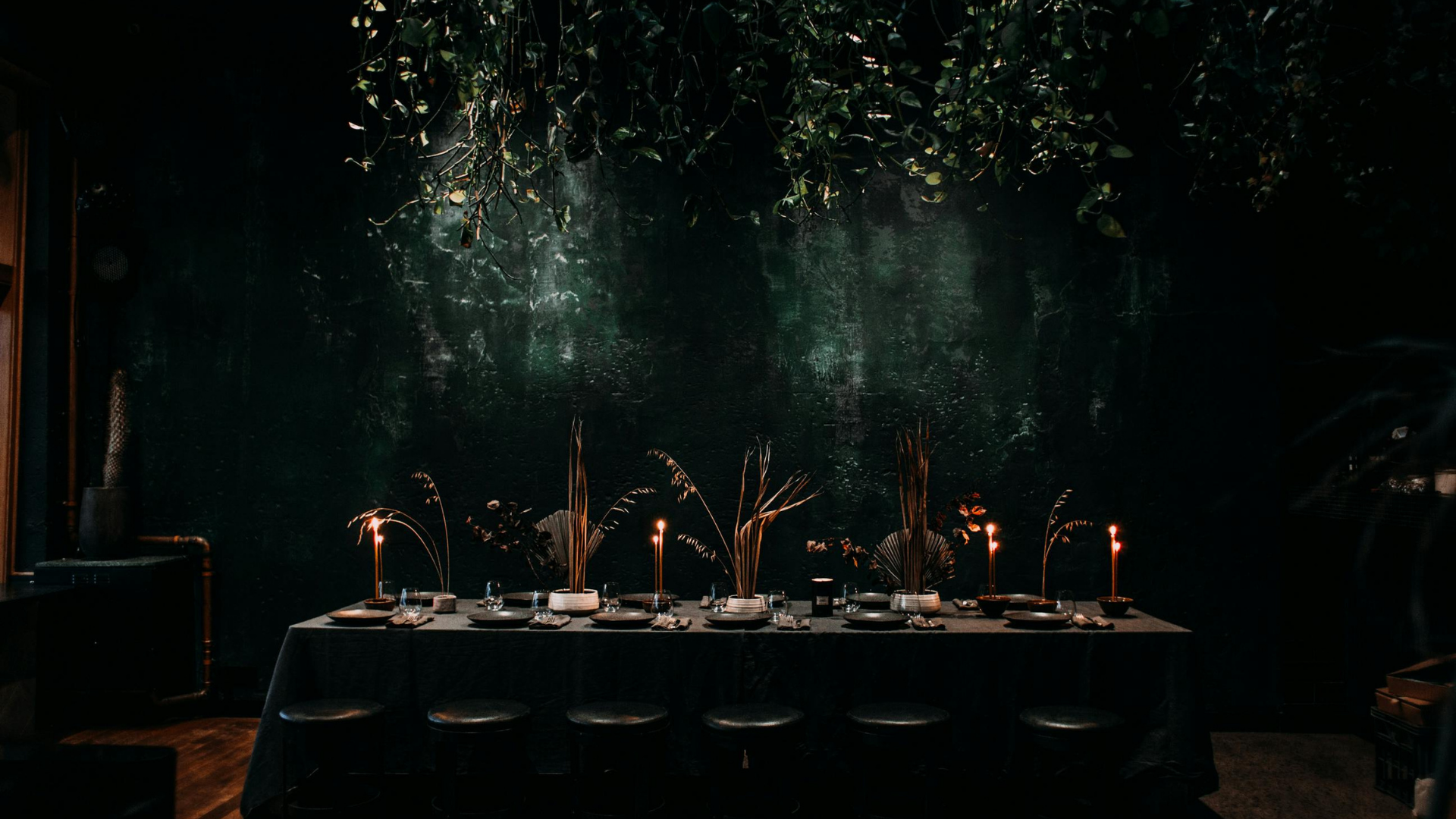 header-new-20253.jpg.png