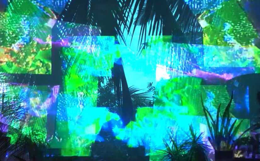Screen Shot 2019-01-23 at 11.59.34 AM.png