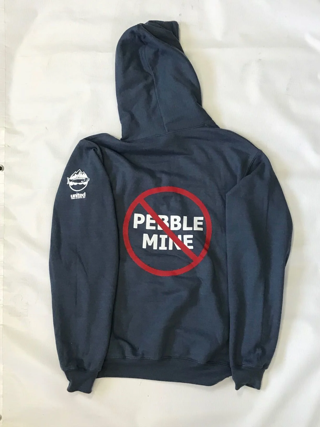 Merch - Hoody Back.jpg