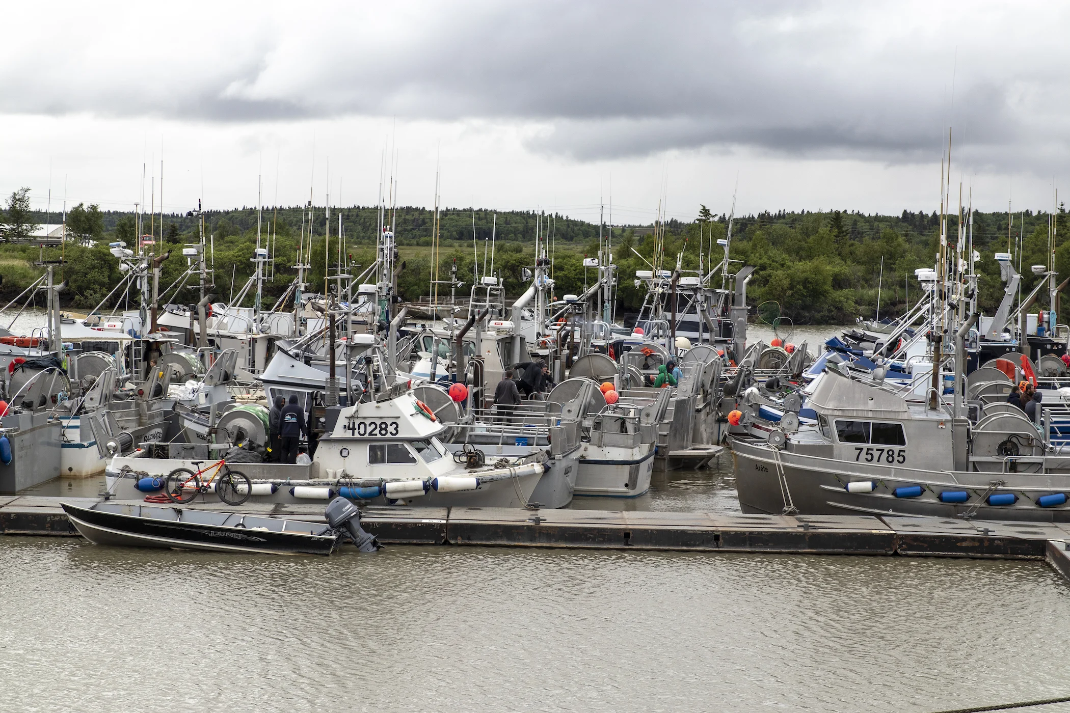 Harbor.jpeg