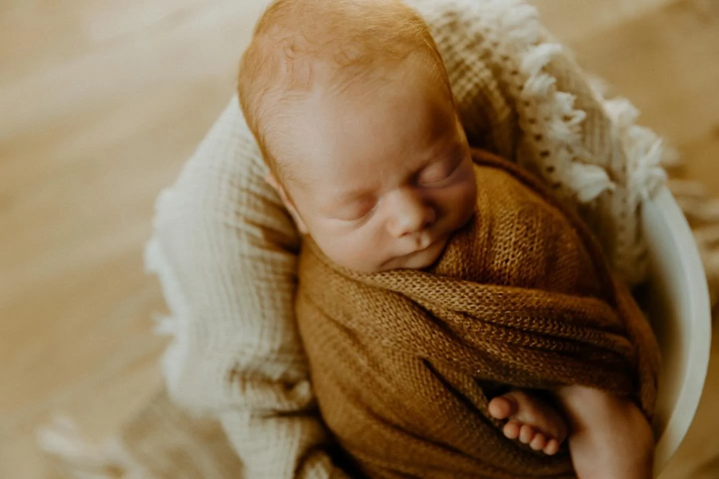 What a sweet little guy 🥰🥰