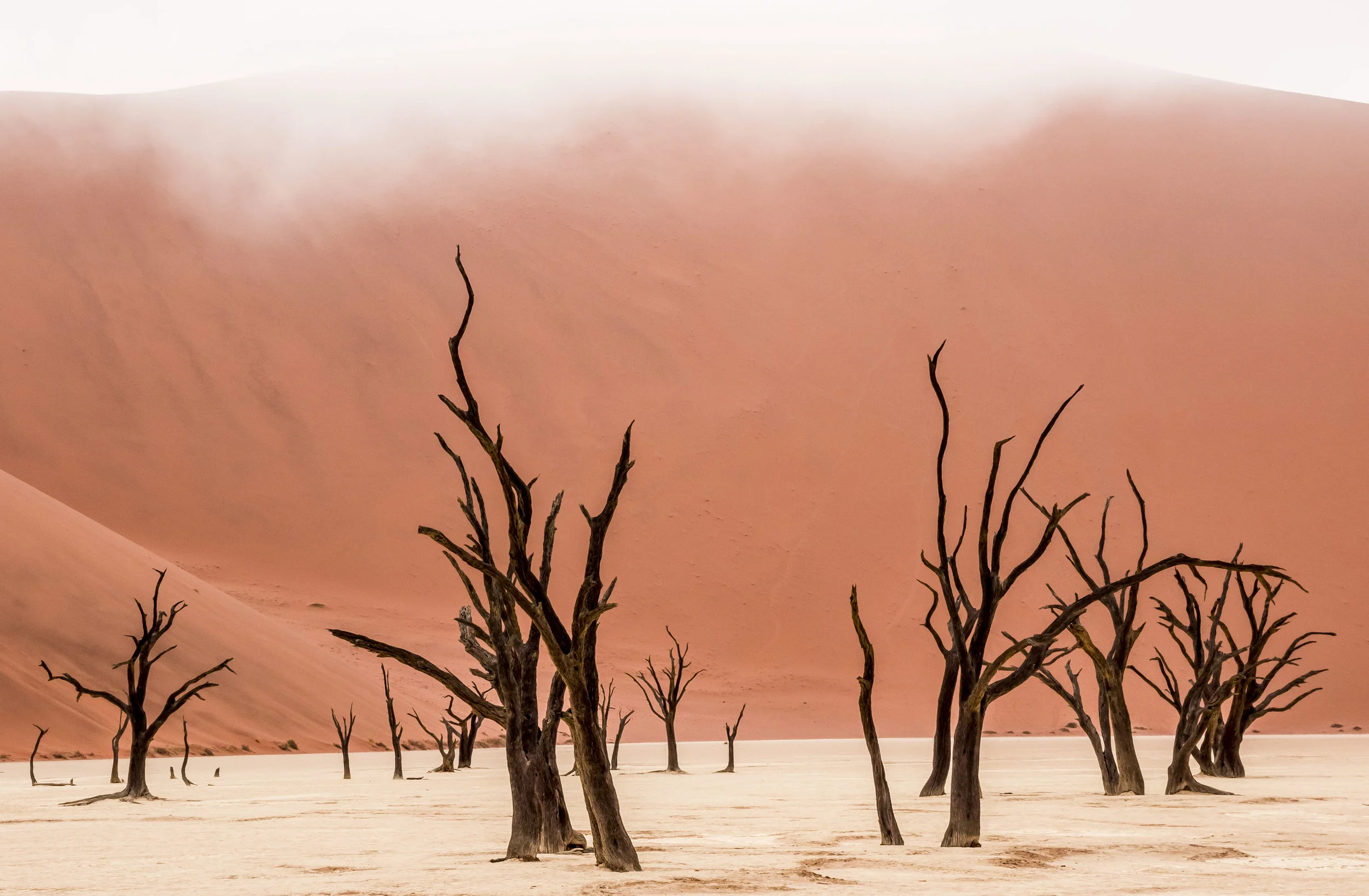 Sossuvlei Pan Namibia