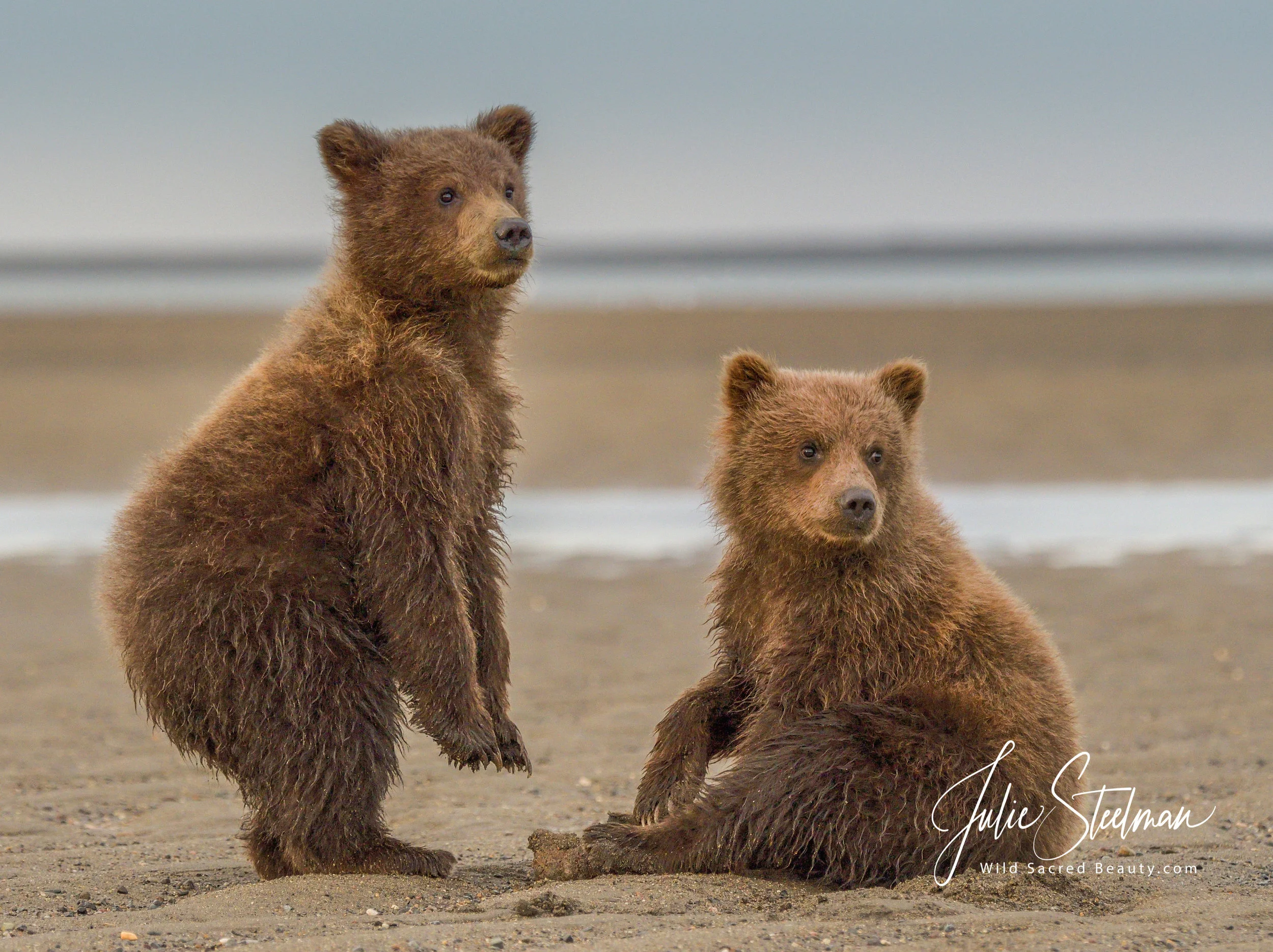 20170805-Alaska_August_20177322-Edit.jpg