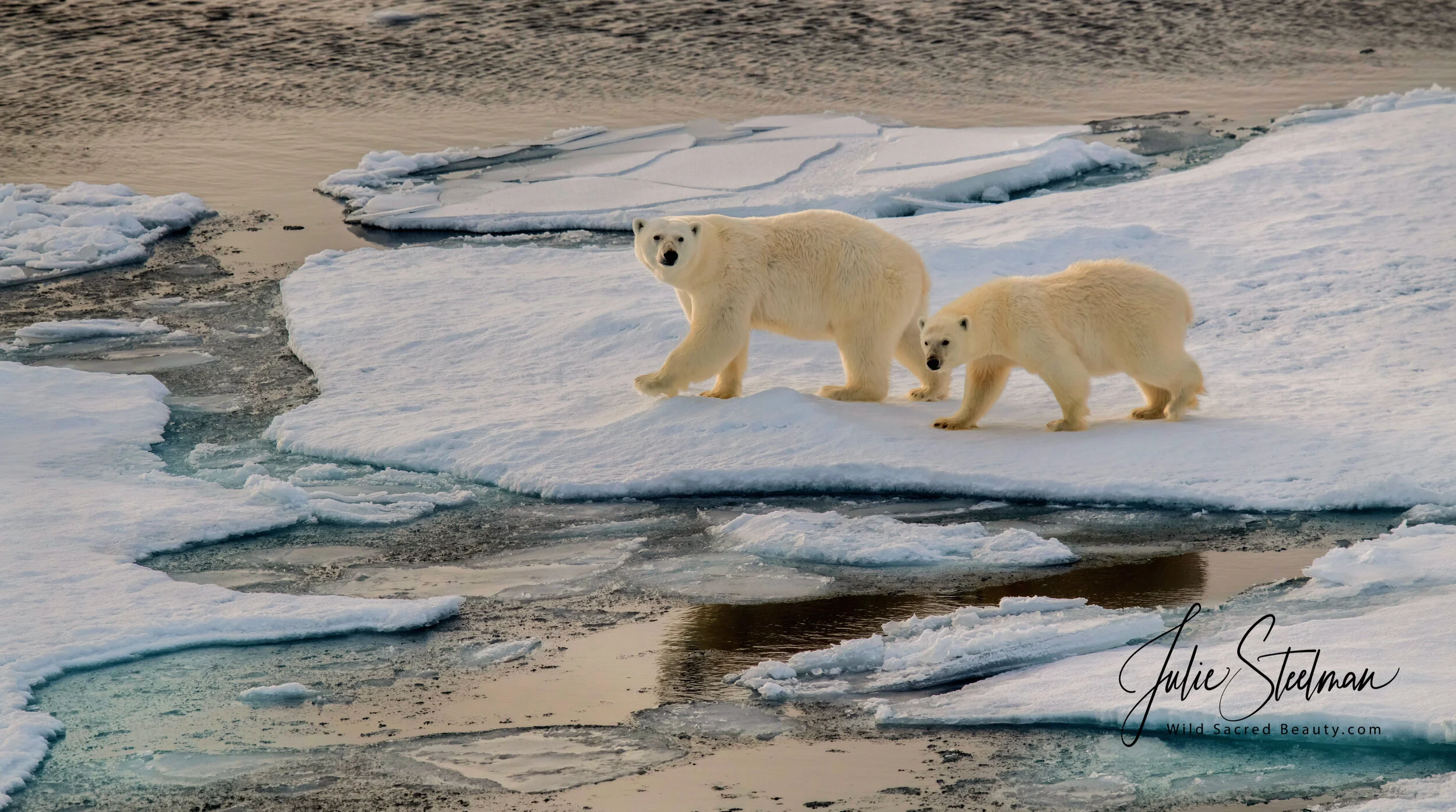 20180902-Svalbard_2018_0833.jpg
