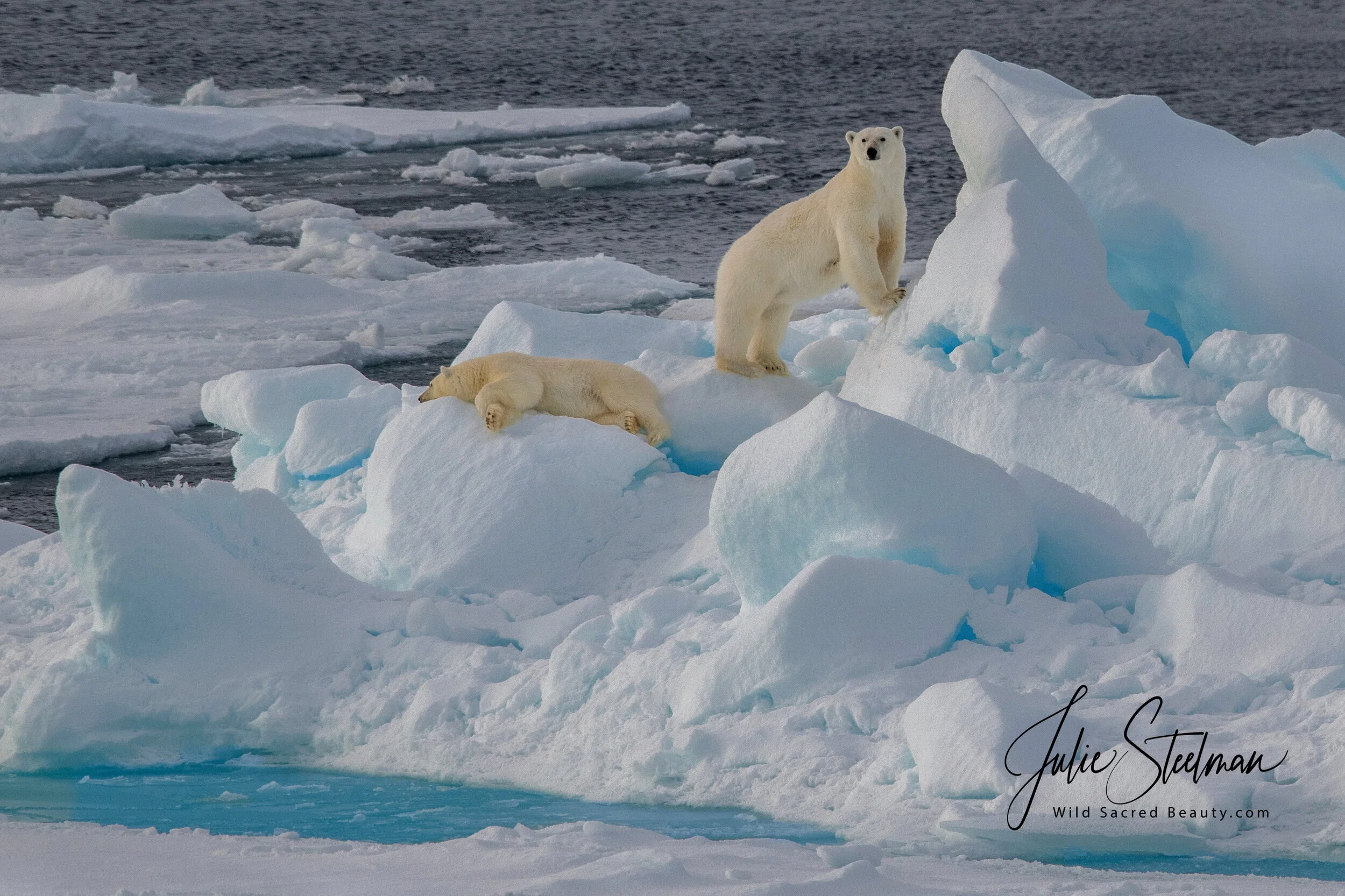 20180902-Svalbard_2018_0587.jpg