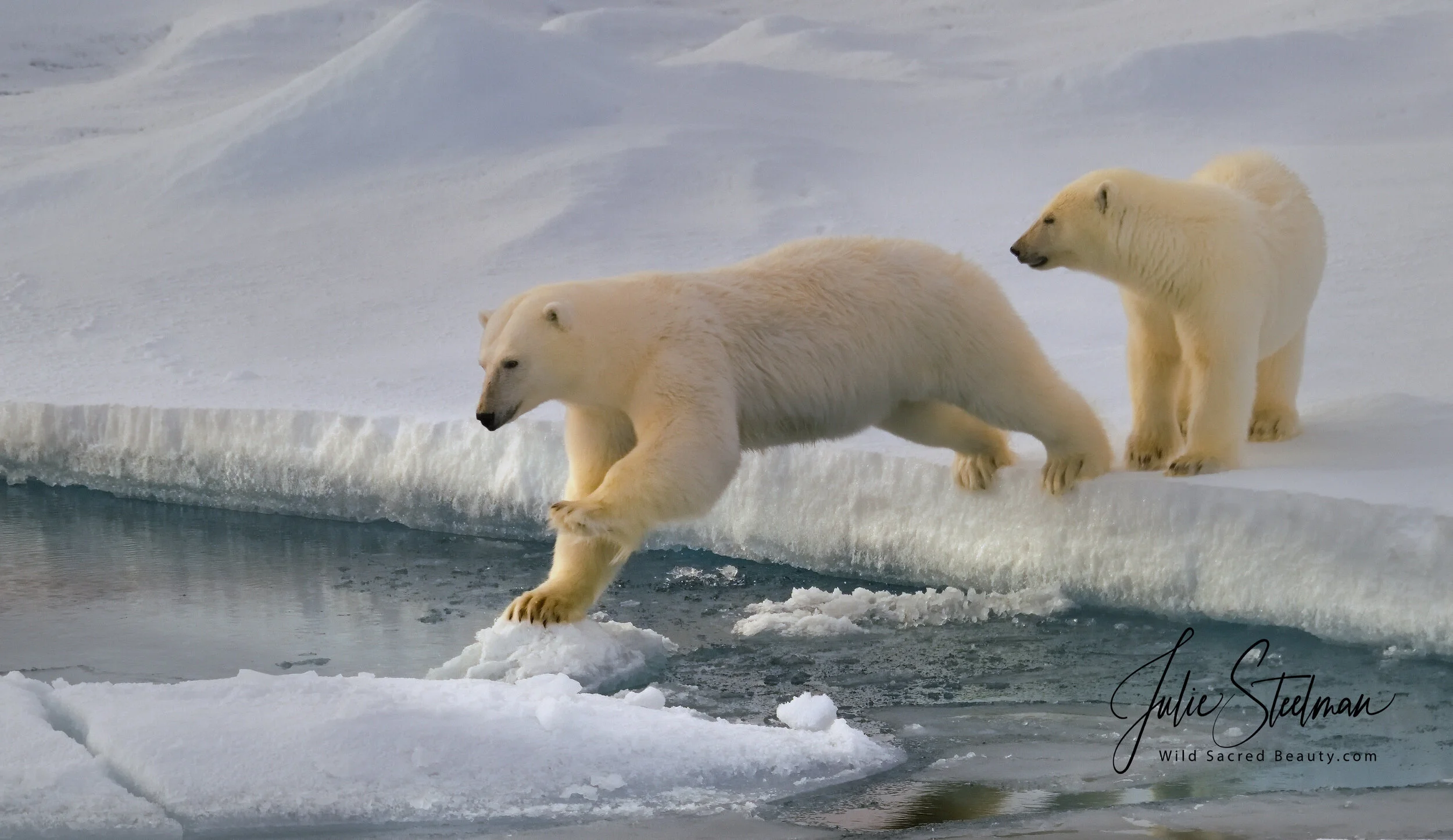 20180902-Svalbard_2018_0783_00010.jpg