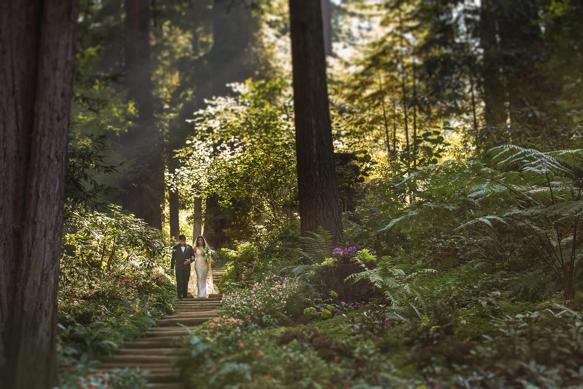Wedding -8.jpg