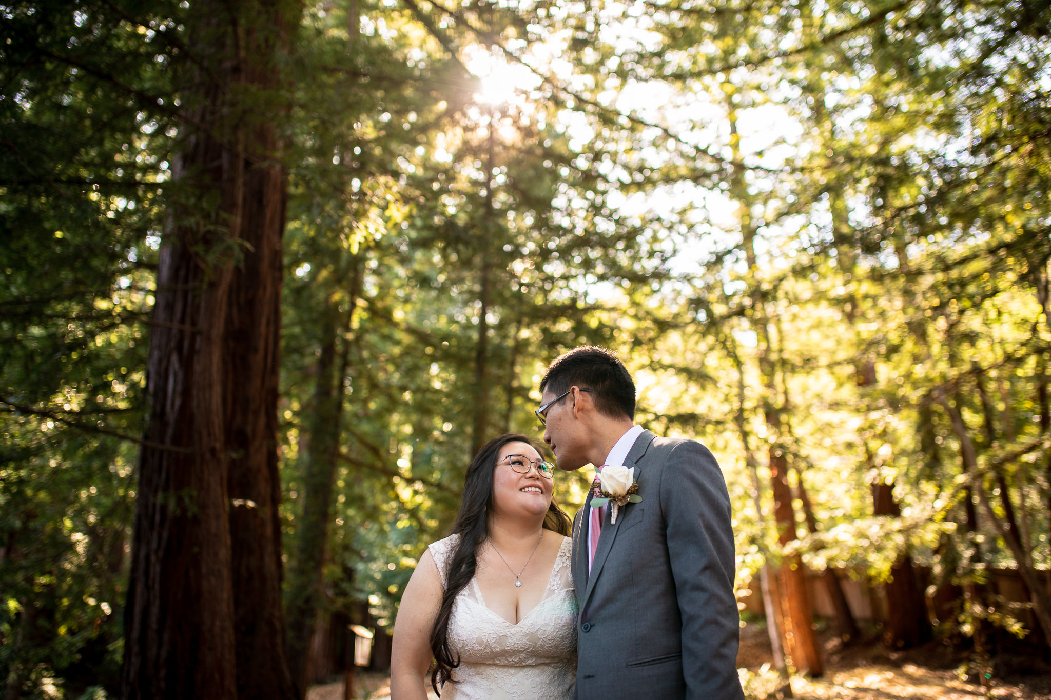 Golden light coming through the redwood tree grove behind Valley Presbyterian Church is simply magical!