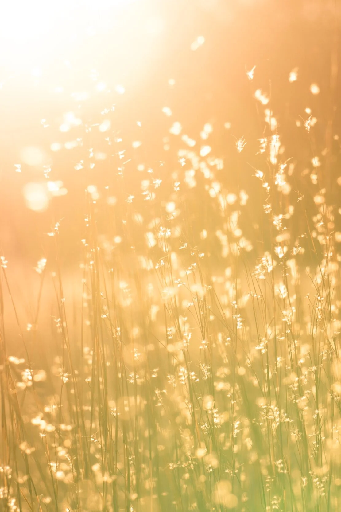 Coronavirus is a Plea to Practice Oneness Not Separateness.