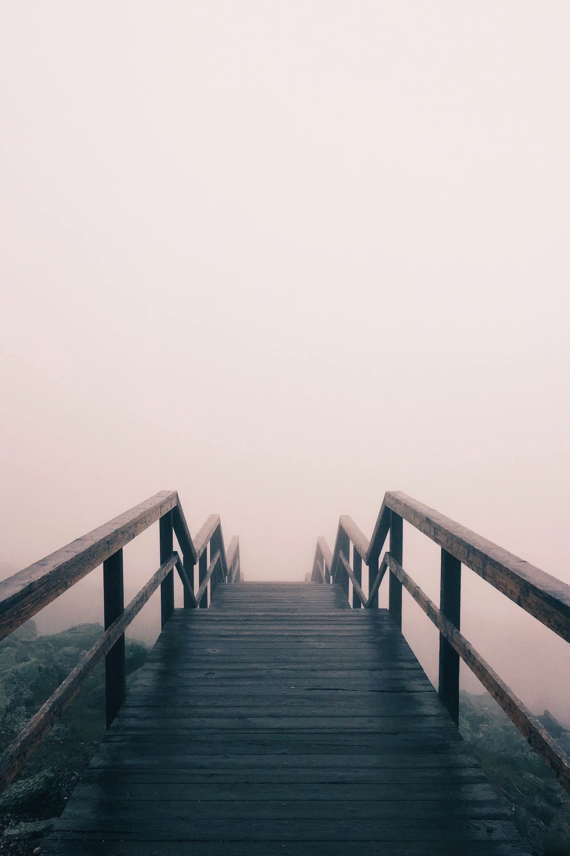 Let Go of Fear, and the Answers Will Come