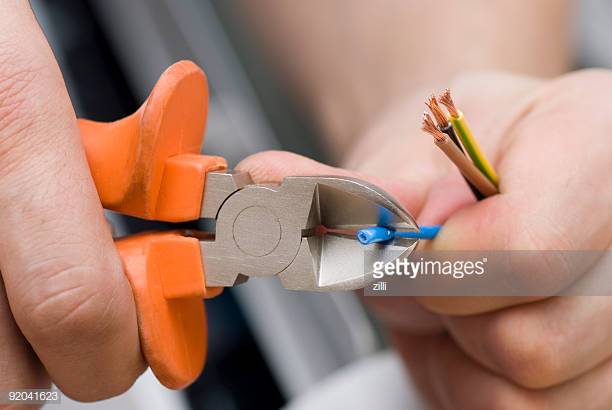 Photo by zilli/iStock / Getty Images