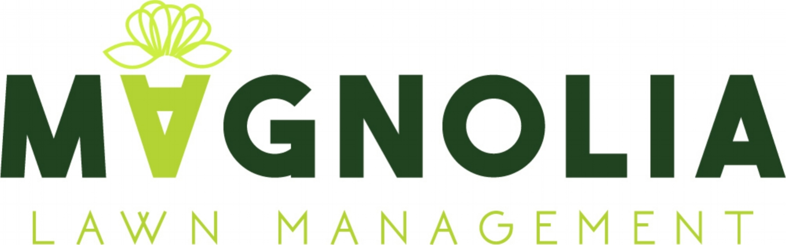  Magnolia Lawn Management