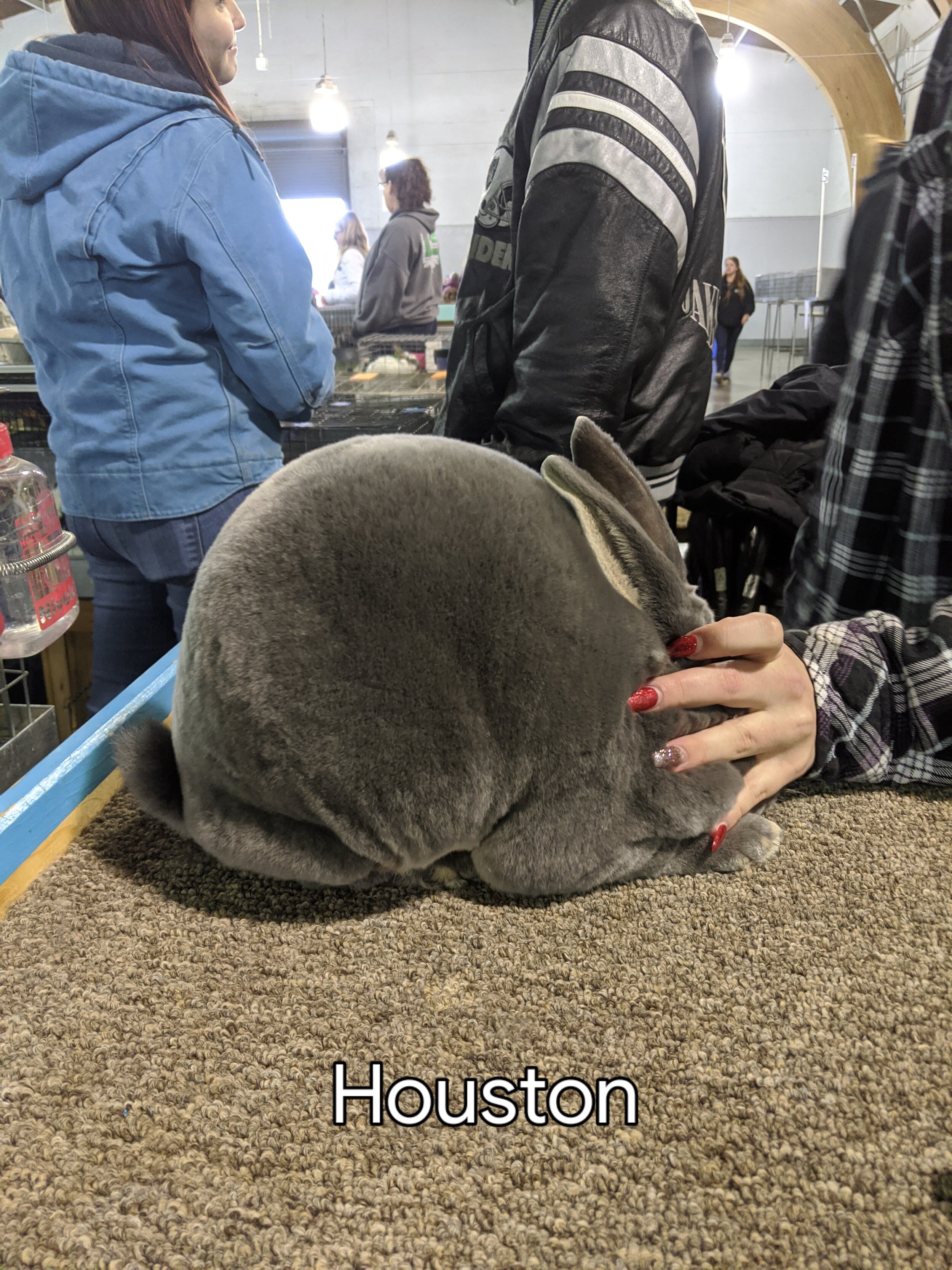 Hoppy Days' GC Houston (Copy)