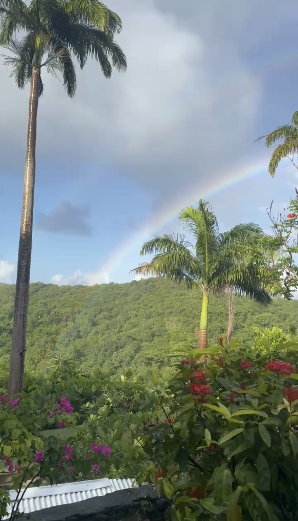 View recent photos 3.png