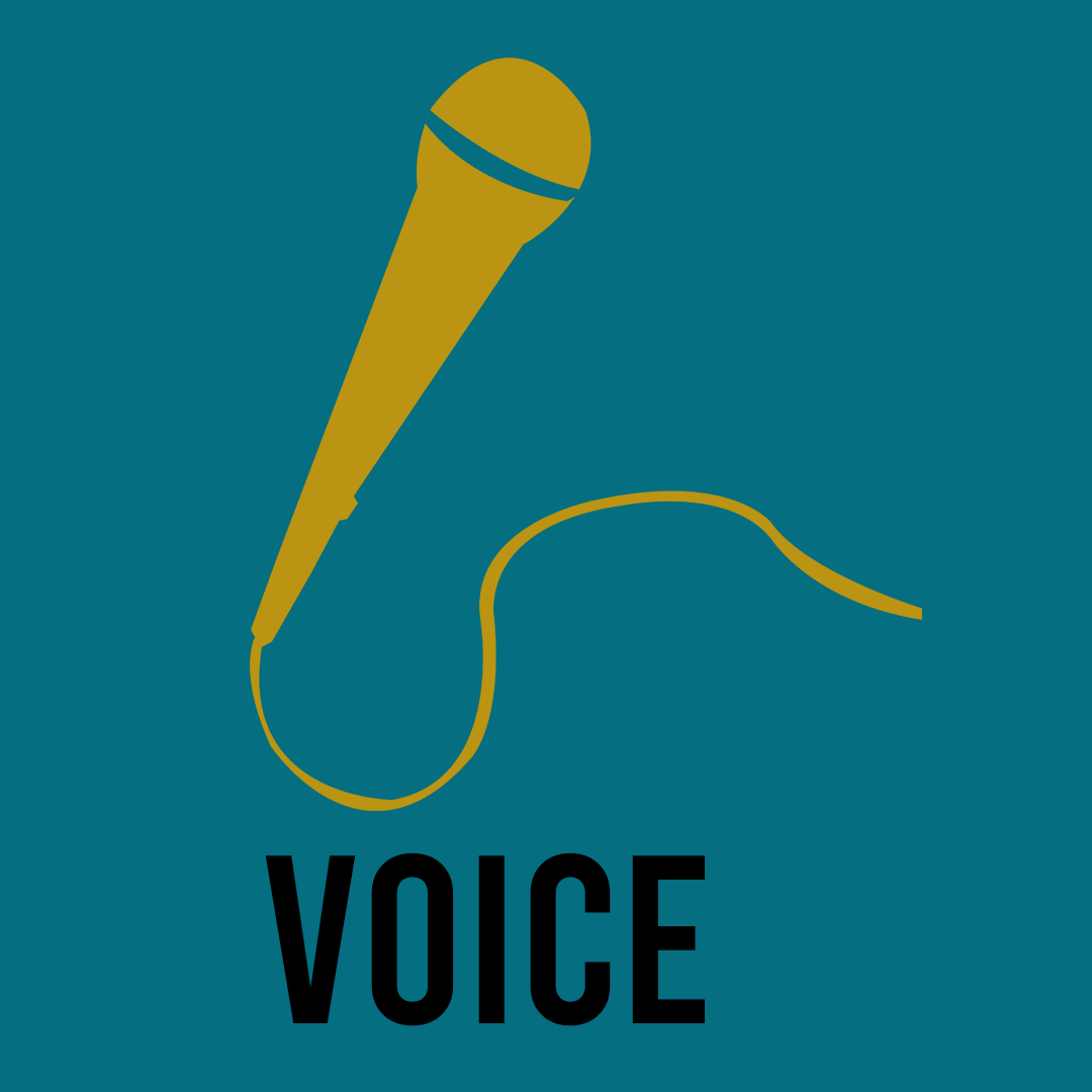 voice.png