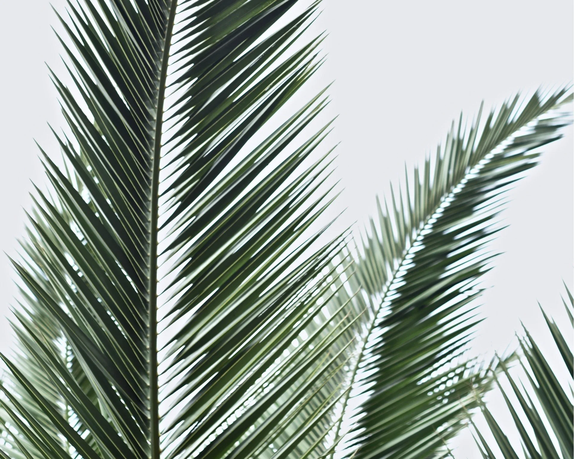 What Does It Mean to UNForget?