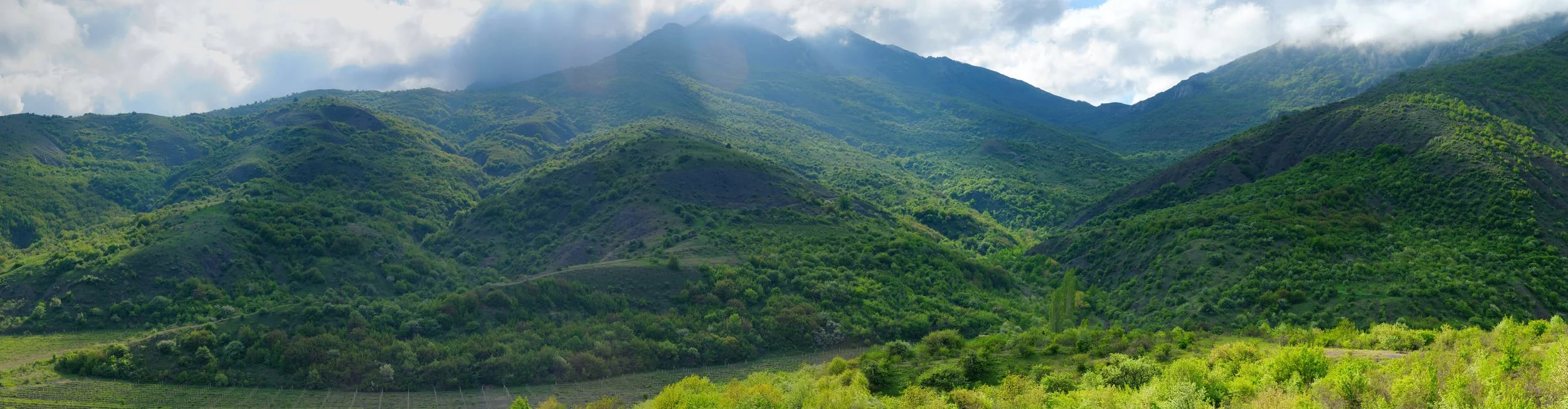 Steady + Immovable | Qualities of Women Who Trust Jesus