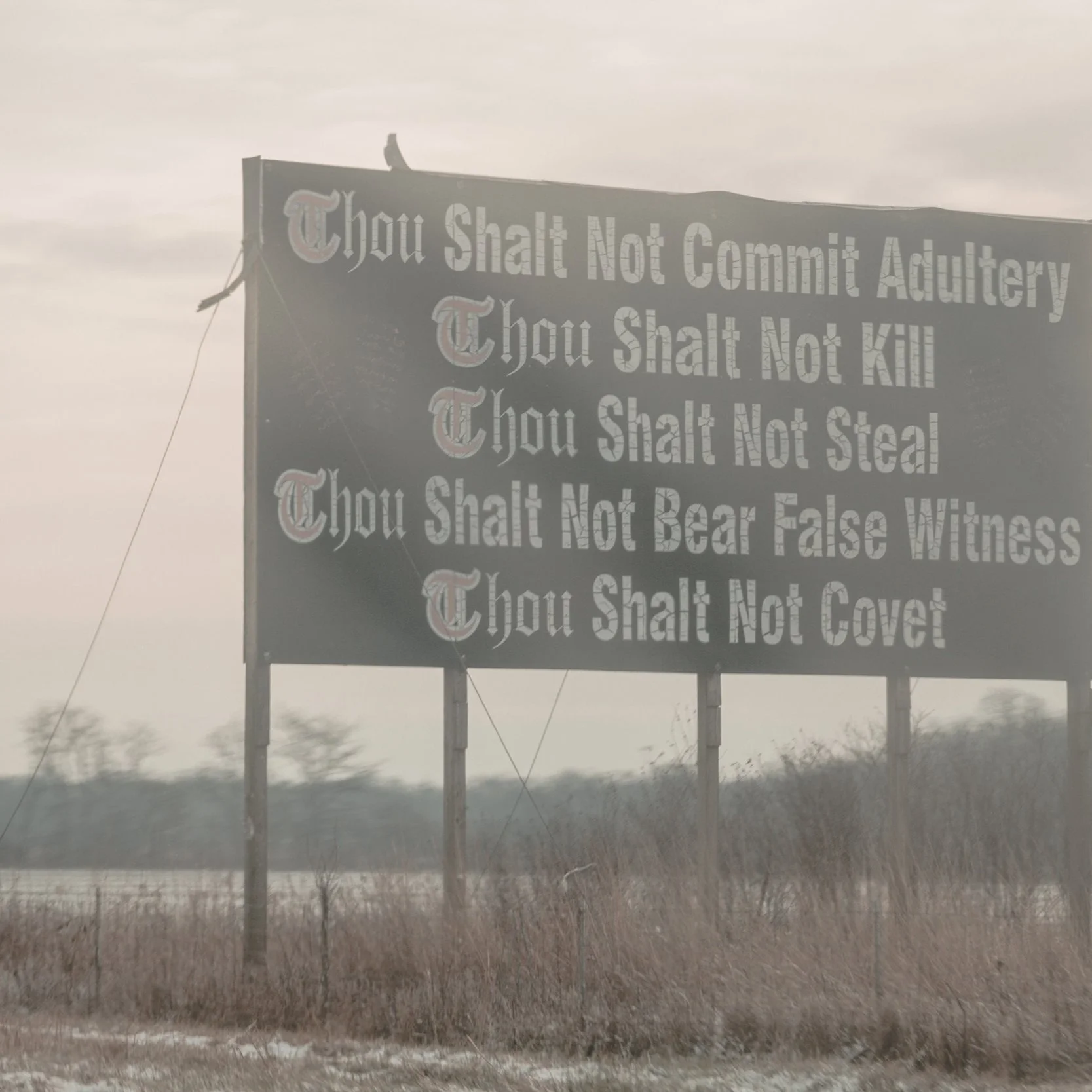 For Freedom | Qualities of Women Who Trust Jesus