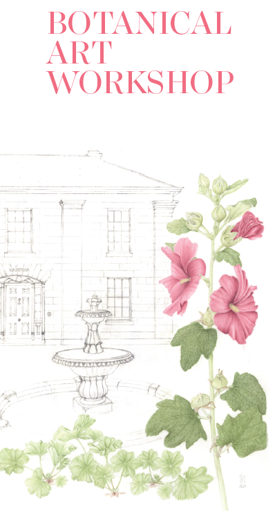 Botanical Art Workshop – Day 2