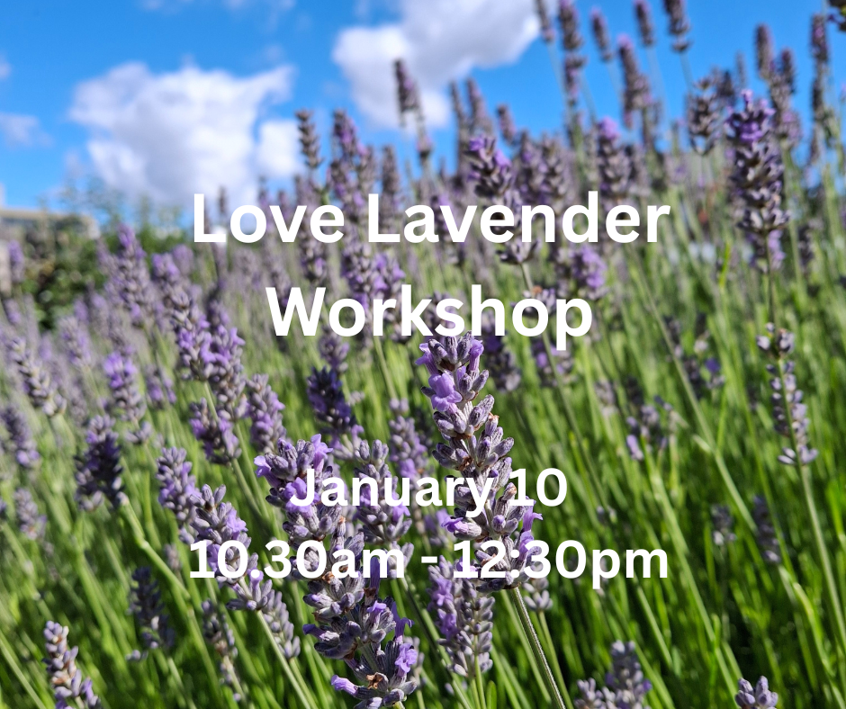 Your paragraph text.png