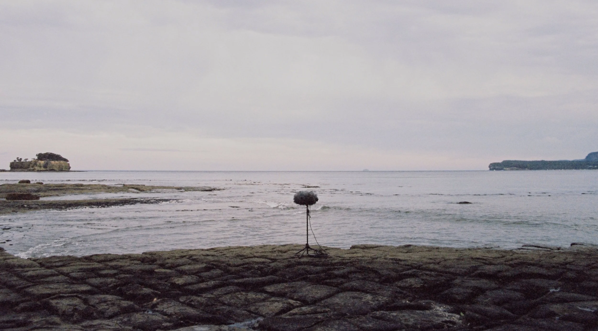 <untitled> 20.jpg