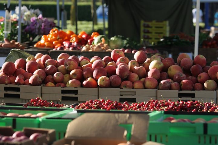 Copy of IMG_0020.JPG