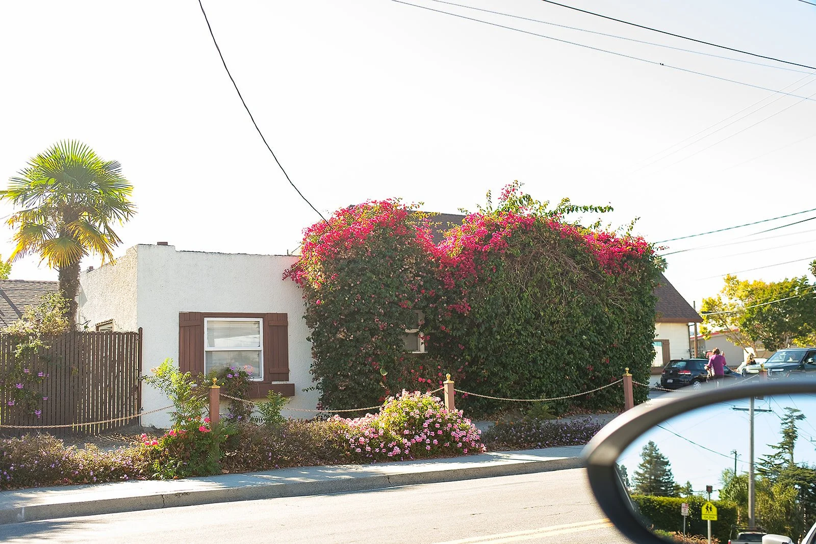 sunshineladyphotography_santacruz-6221.jpg