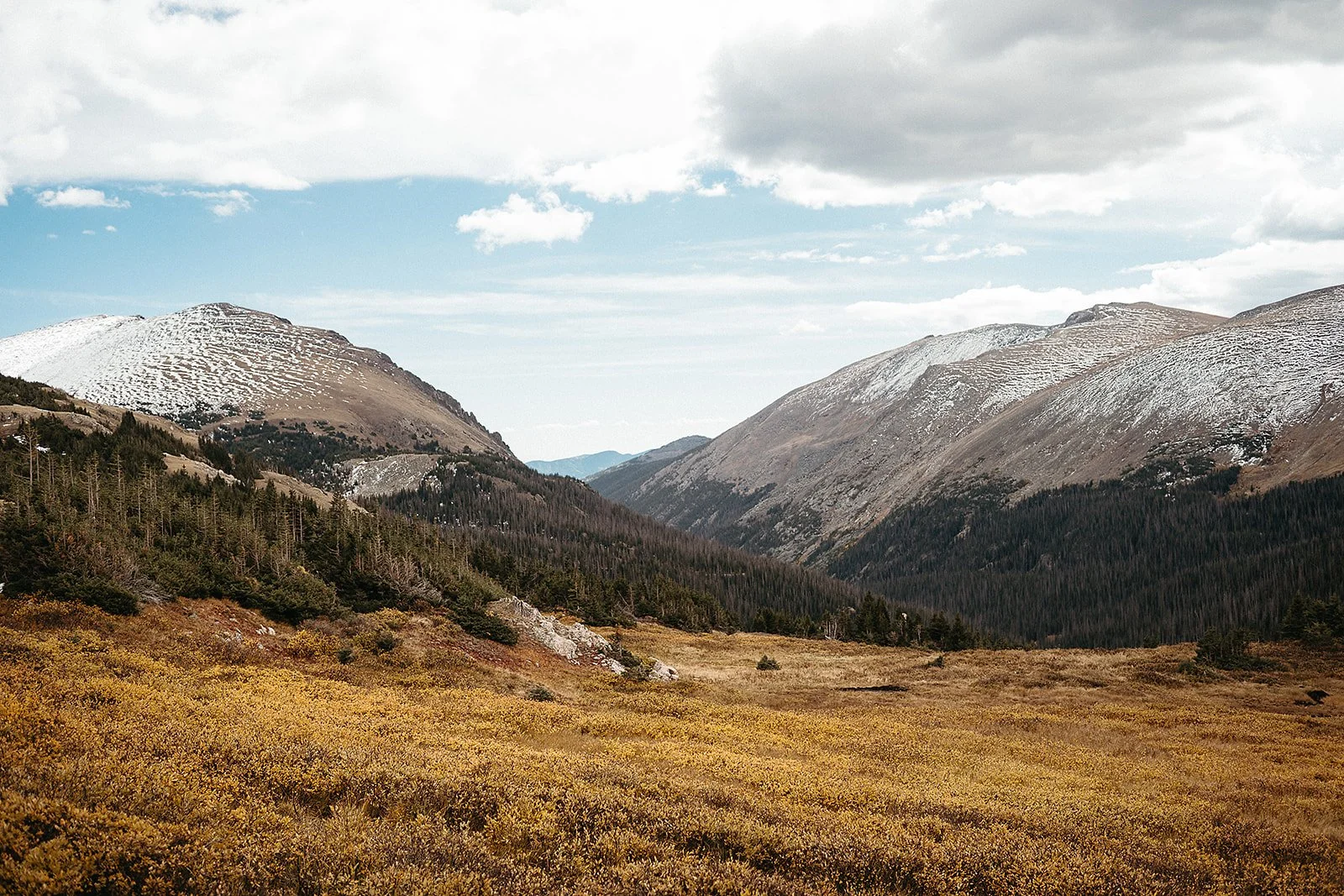 sunshineladyphotography_rmnp28sept25-3557.jpg