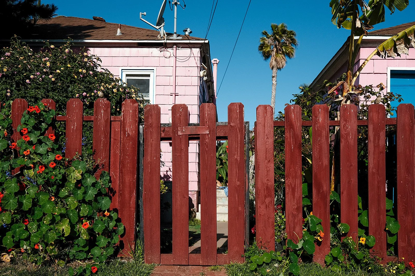 sunshineladyphotography_sandiego-4575.jpg