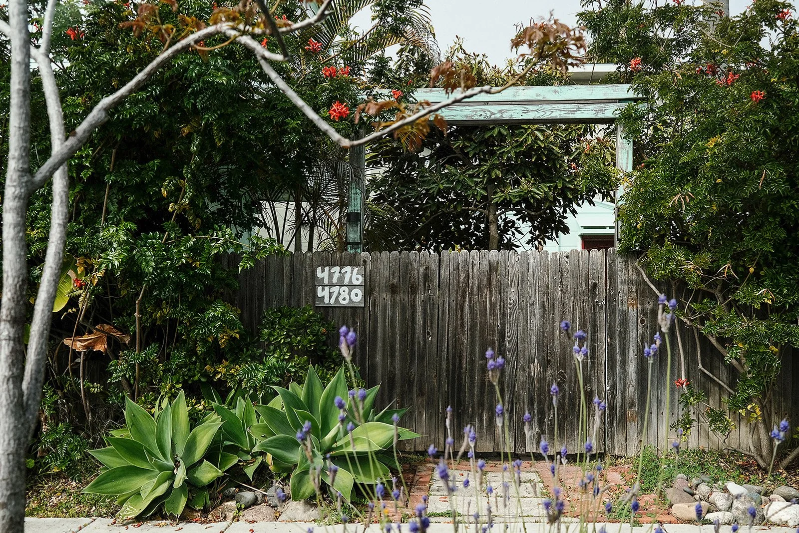 sunshineladyphotography_sandiego-4633_websize.jpg
