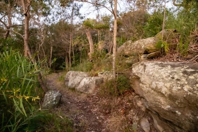 Throwing shade: Stony Range Botanic Garden to be overshadowed by apartments