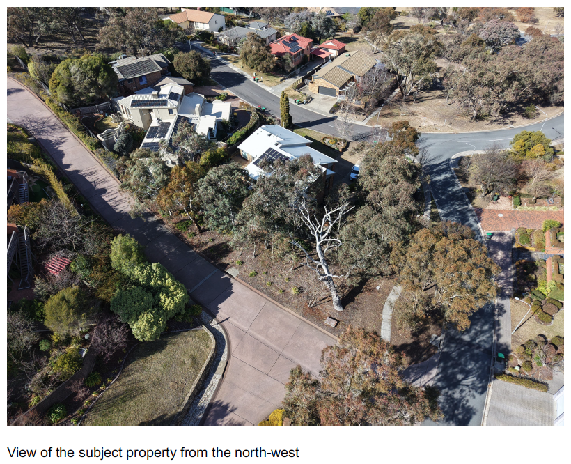 Case Study: Tree Removal Application Supported by Shadow Diagrams