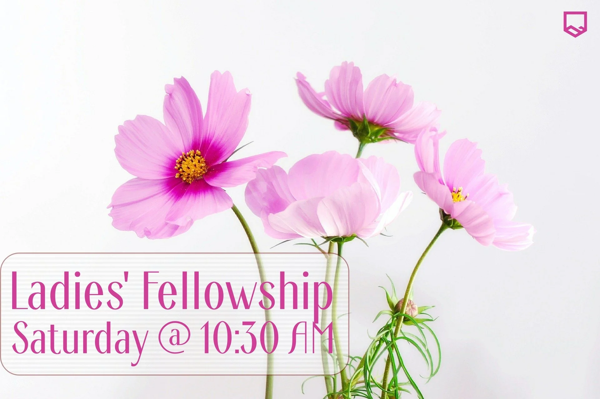Ladies' Fellowship