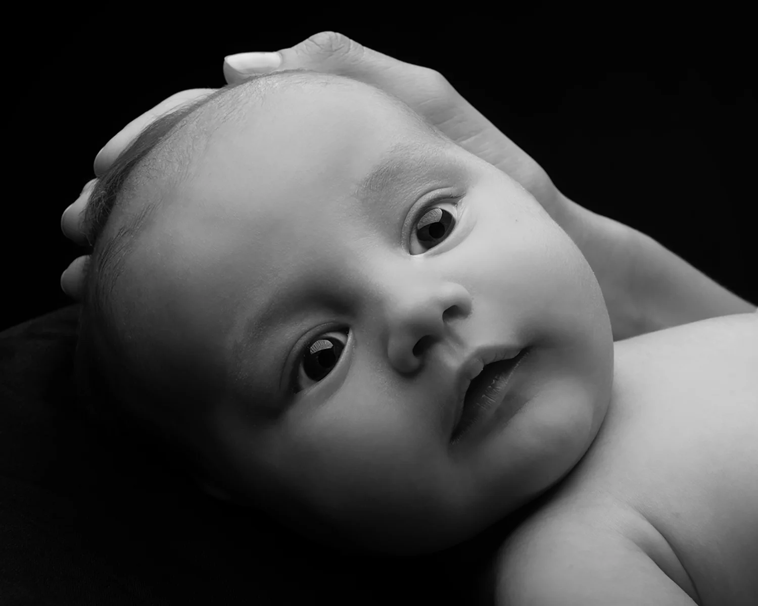 Newborn Photography Session
