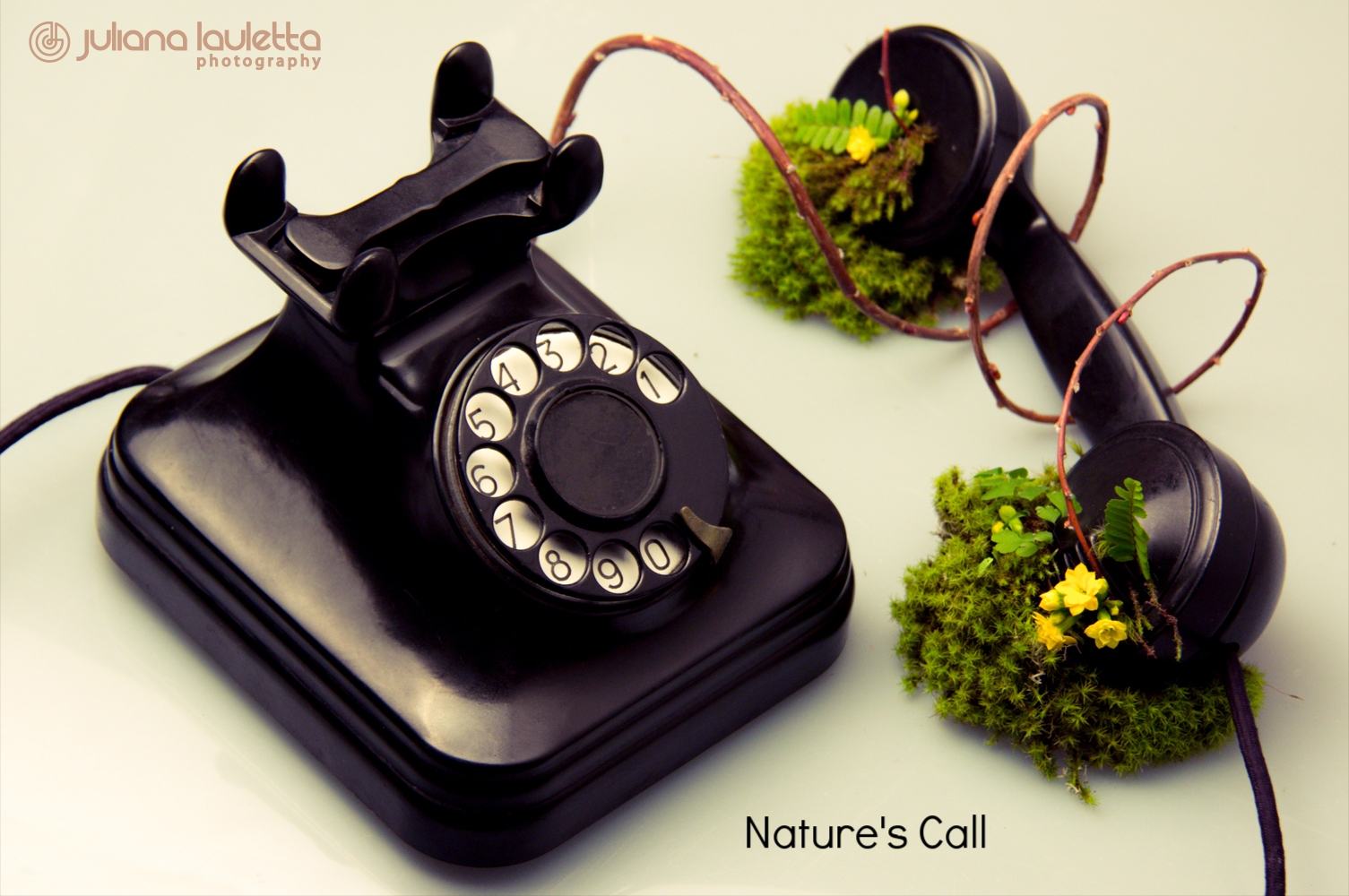 Juliana Lauletta - Lost In Translation - Nature Calls.jpg