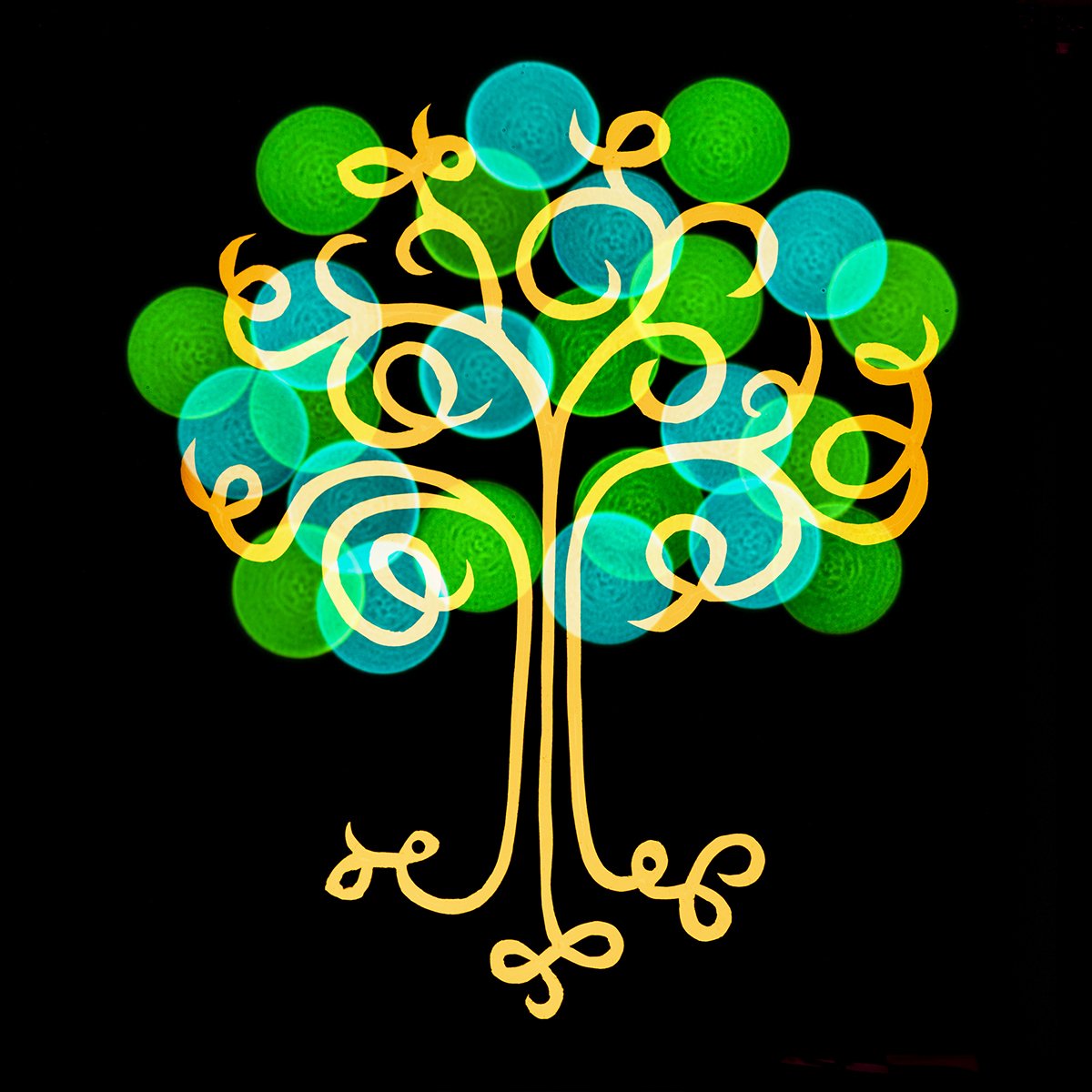 Juliana Lauletta 2019 Light Tree.jpg