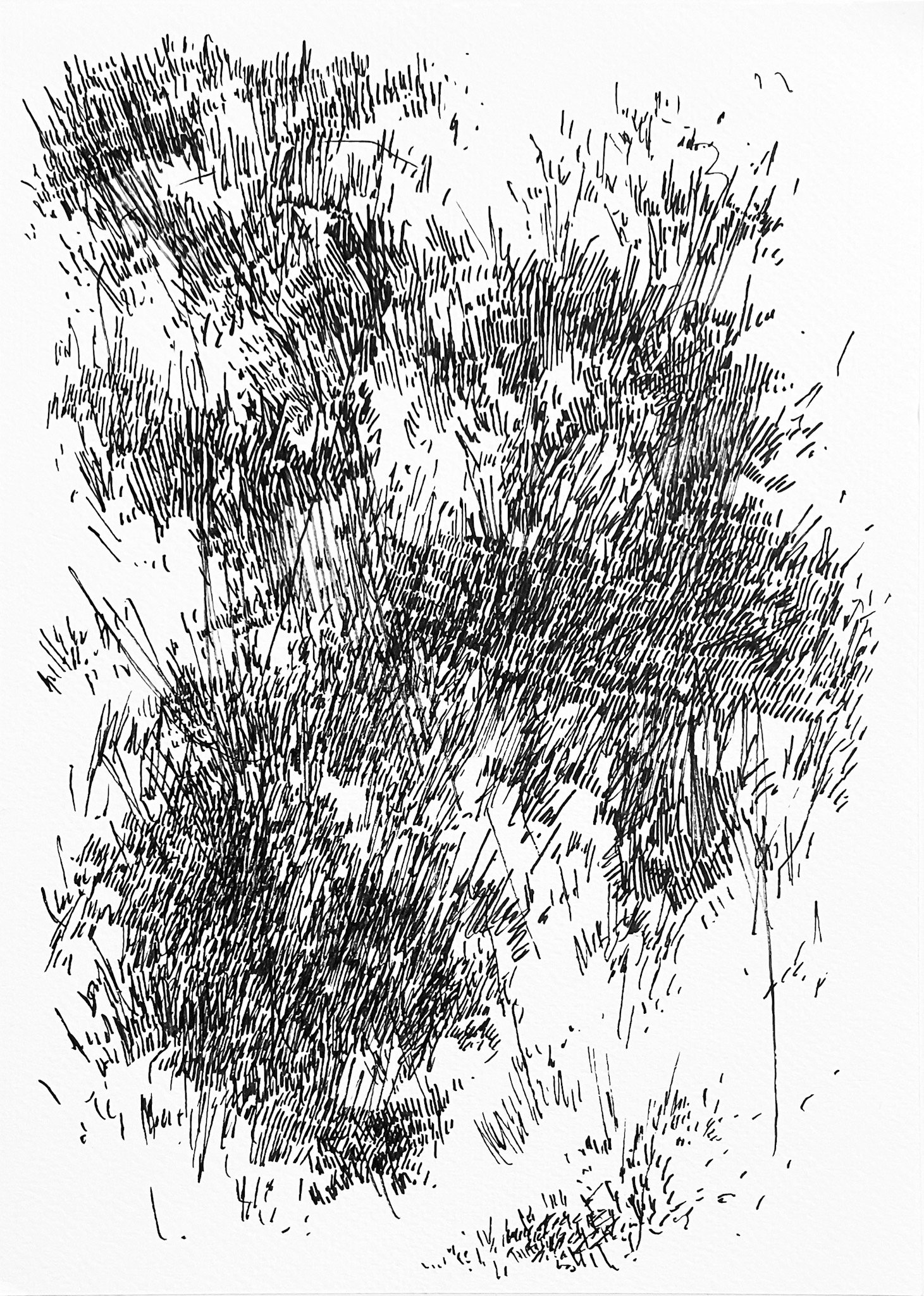 "That One Thought No.6", 2024 | Ink on paper | 7in x 10in