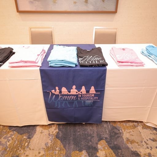 Promo tshirt display.jpg