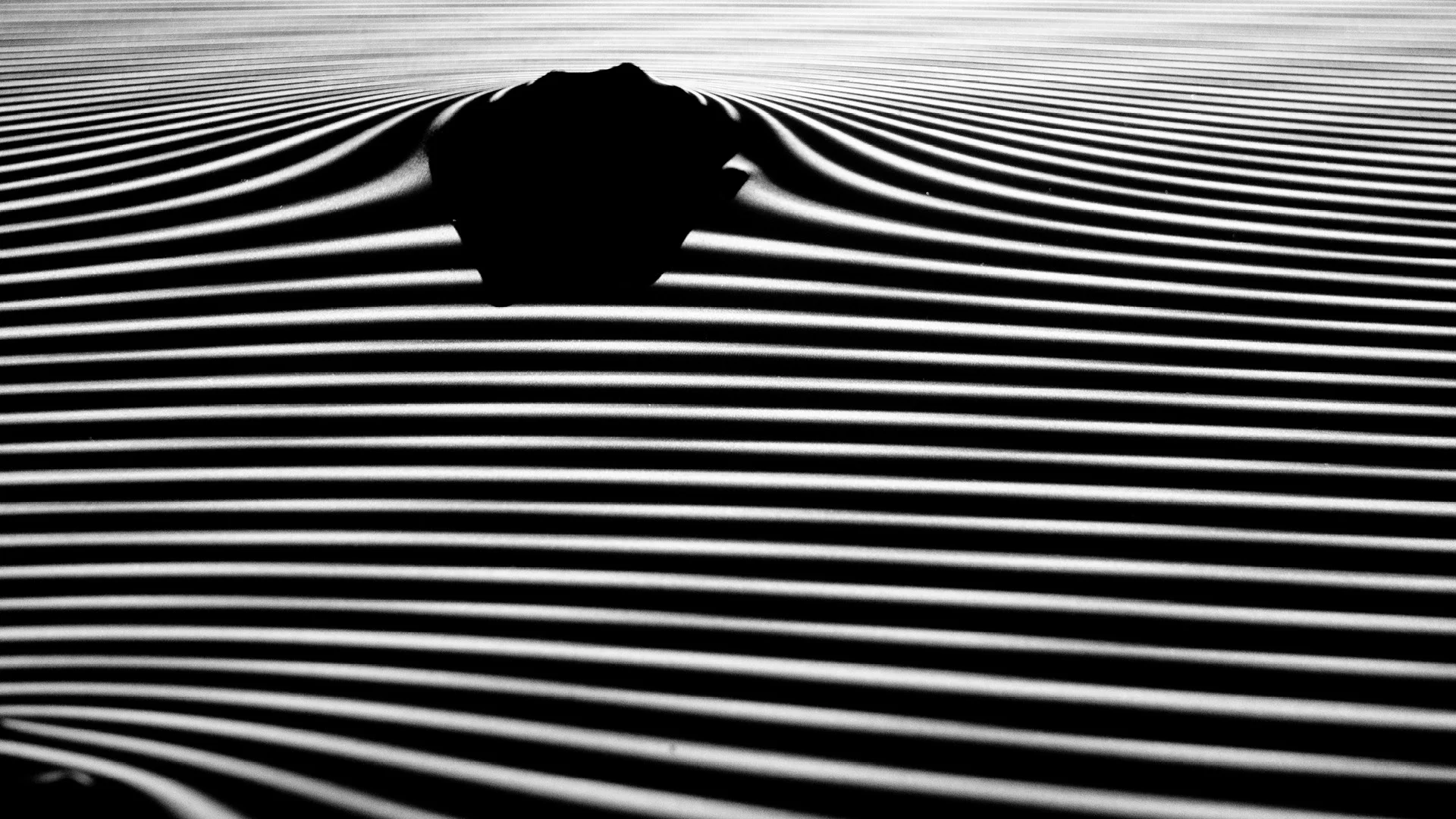 Contour - 012.jpg
