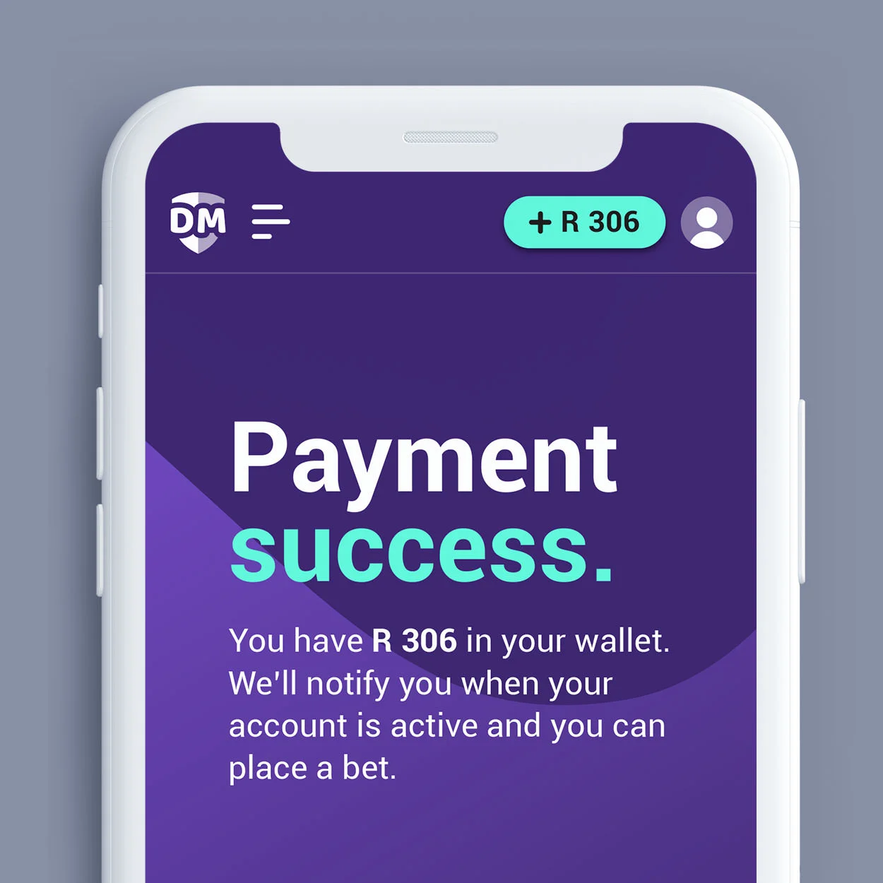 payment-success-page-diskimillions-fixate.jpg