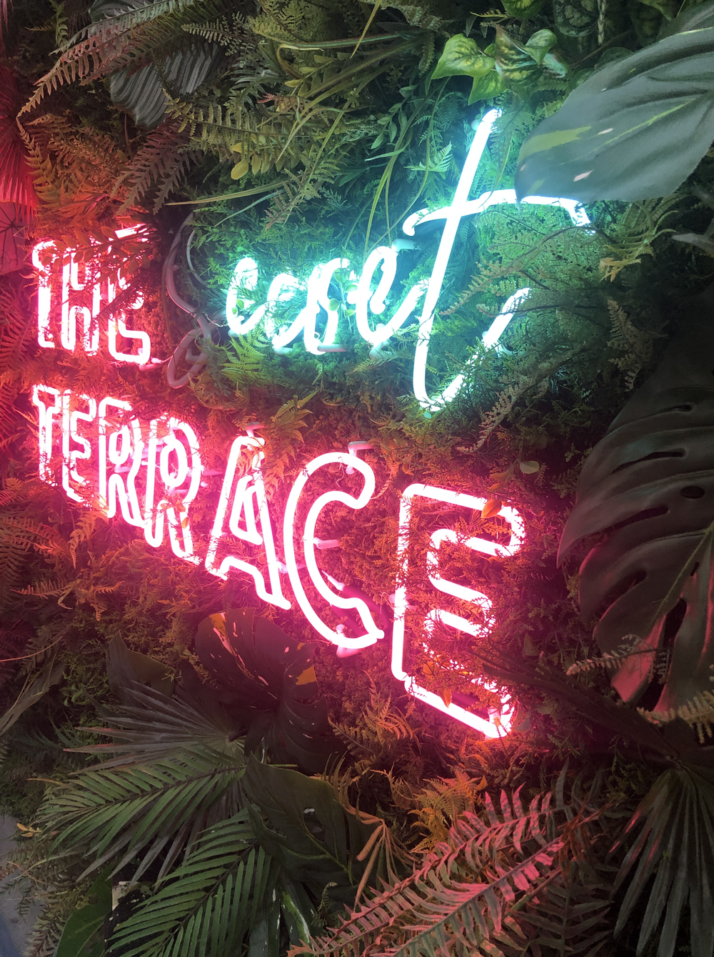 ネオンフラワーウォール 15周年記念イベントが