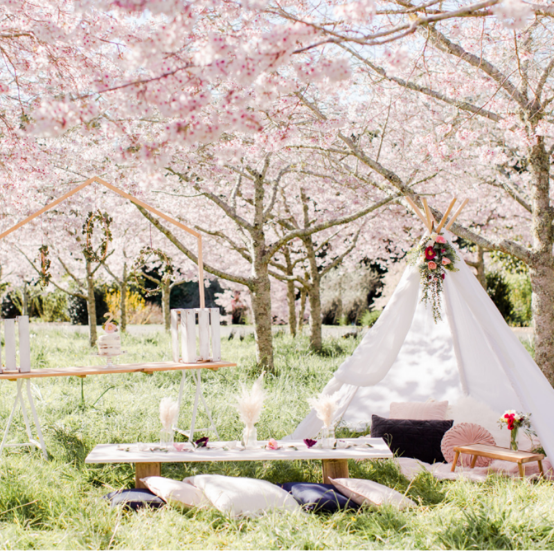 TPC_teepee package_ party Hire.png