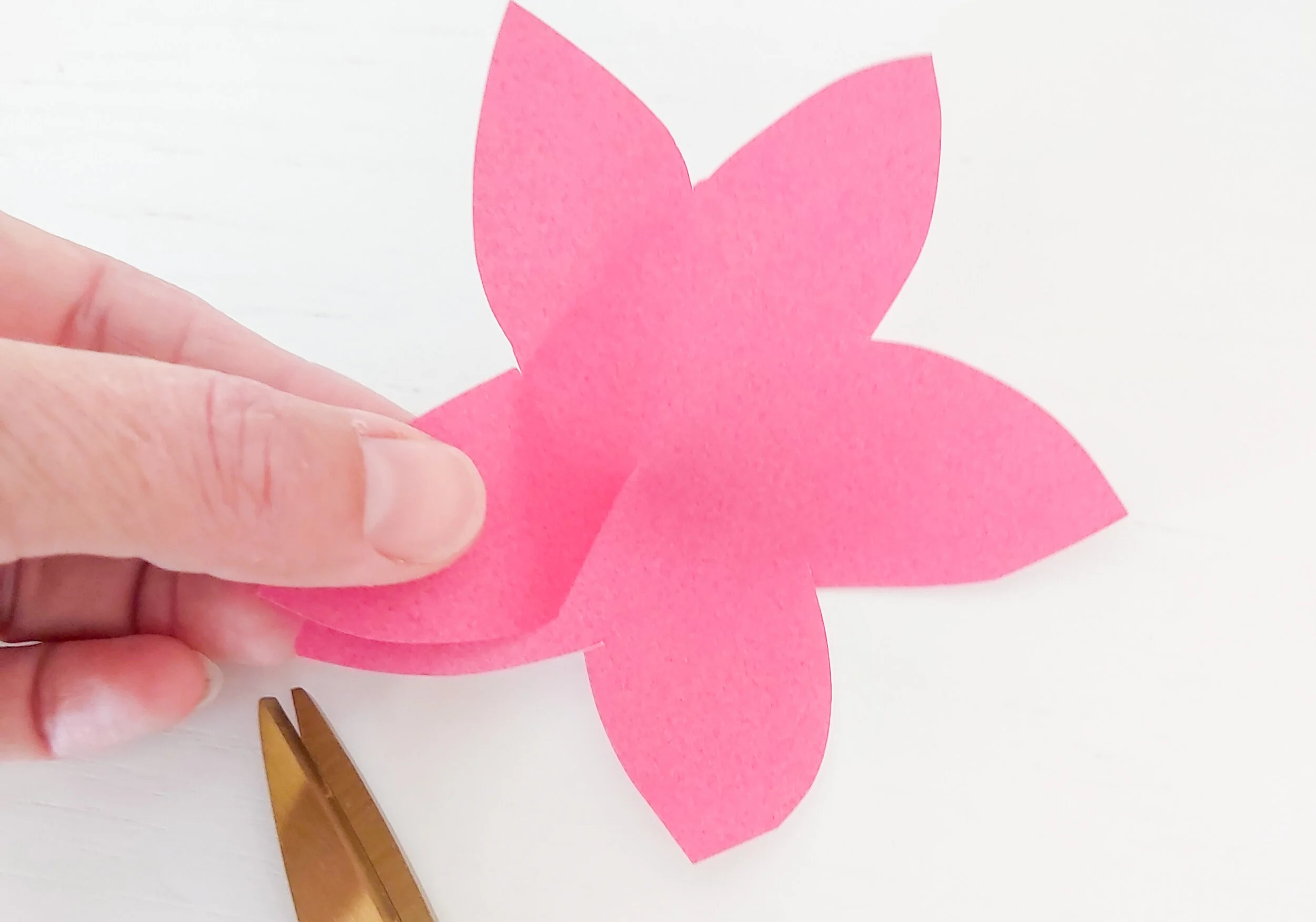 20200404_151233 (1).jpg