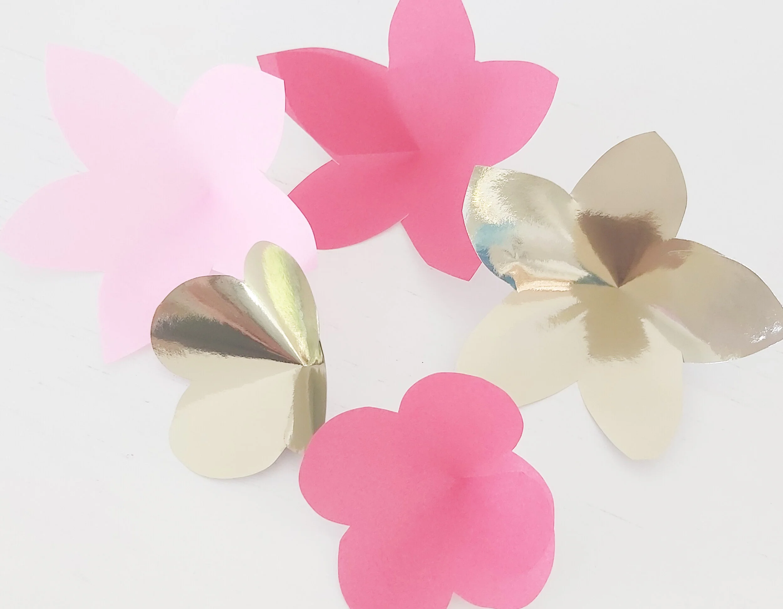 Flowers The Pretty Collective