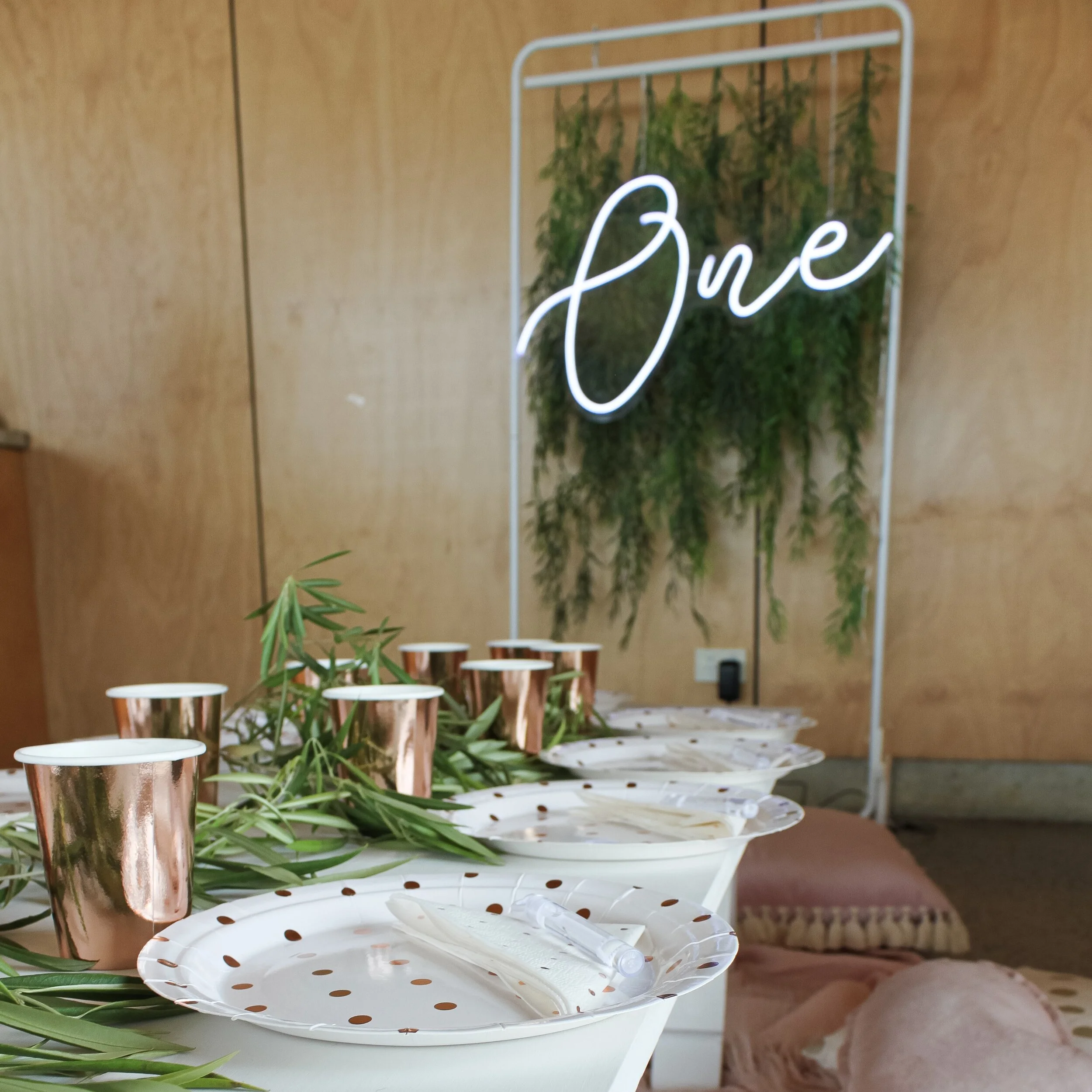 Cake Smash - First Birthday Party 